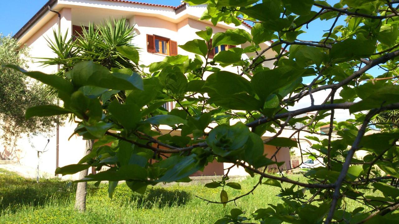 Bed and Breakfast Borgo Marinaro Marina di Camerota Exterior foto